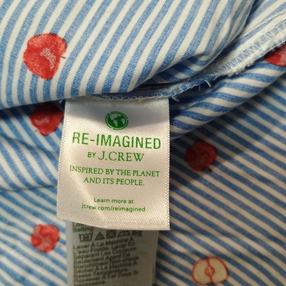 J. Crew womens Re-imagined blue stripe teacher school apple button down size s - Picture 4 of 7